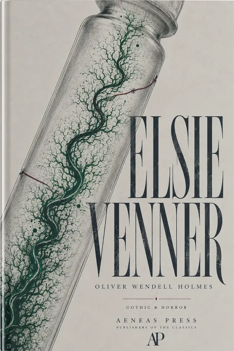 Elsie Venner — cover