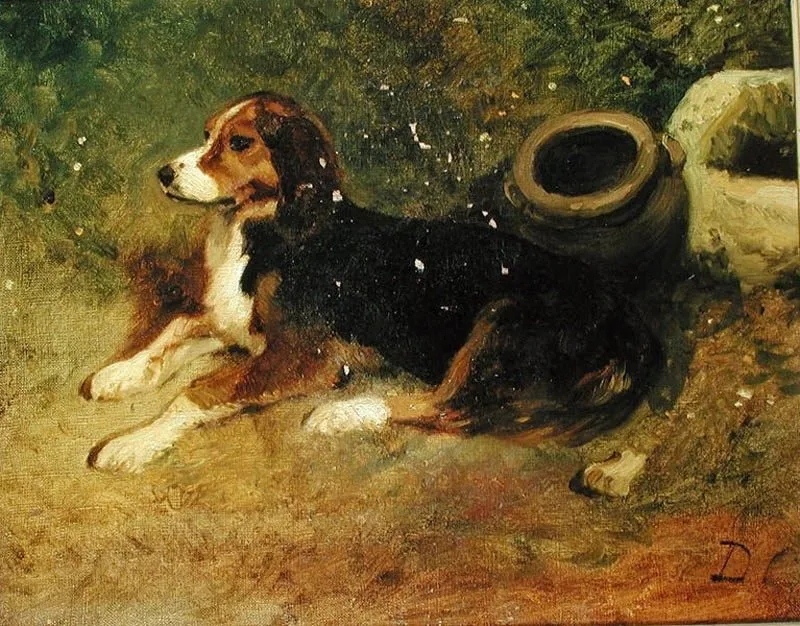 Chien couché