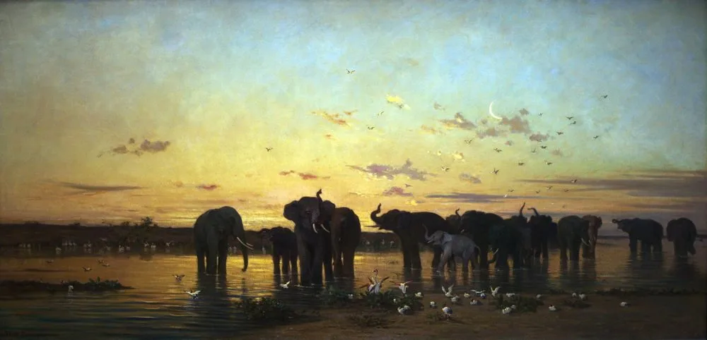 African elephants, Charles de Tournemine