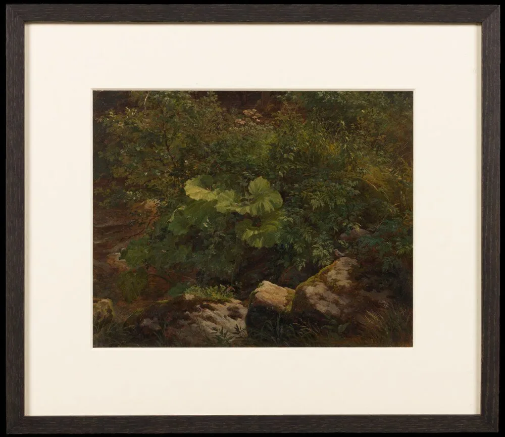 Plants. Study, Gustav Friedrich Papperitz