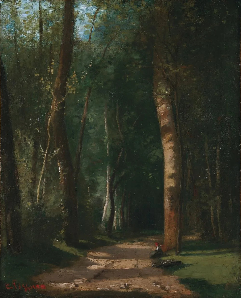 Forest Path