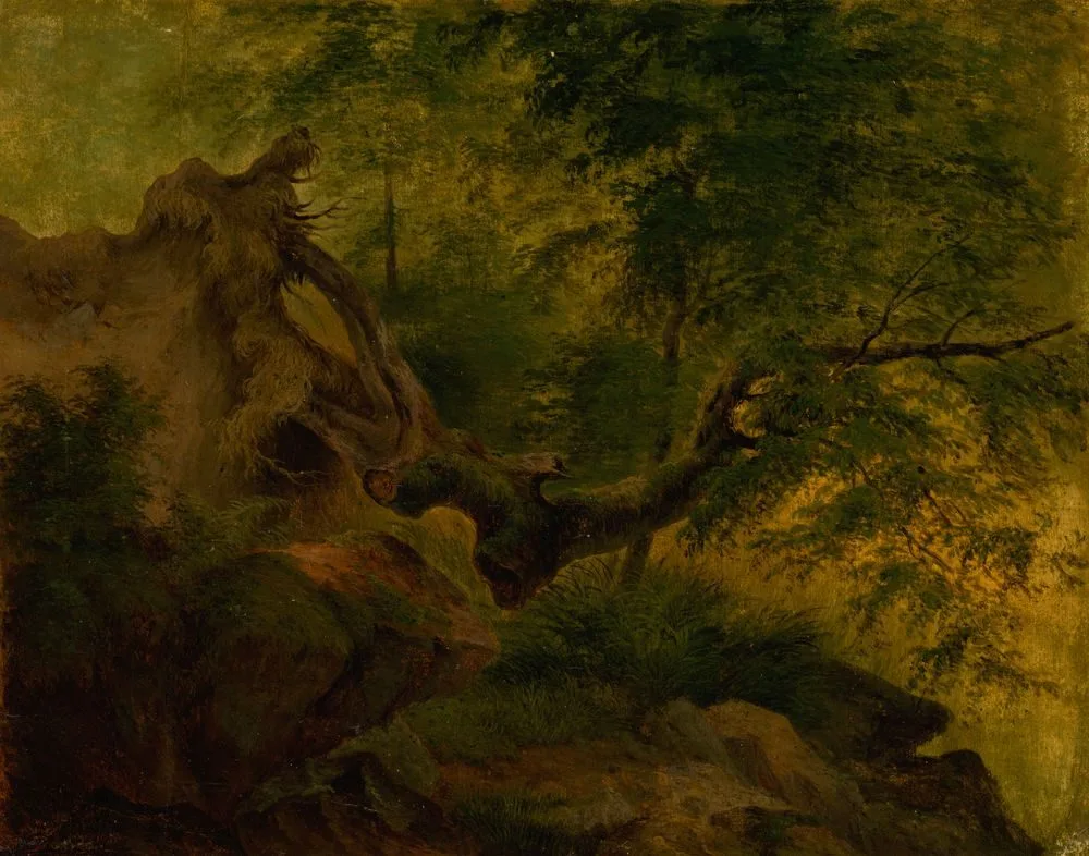 Uprooted Tree (Windthrow), Jozef Božetech Klemens