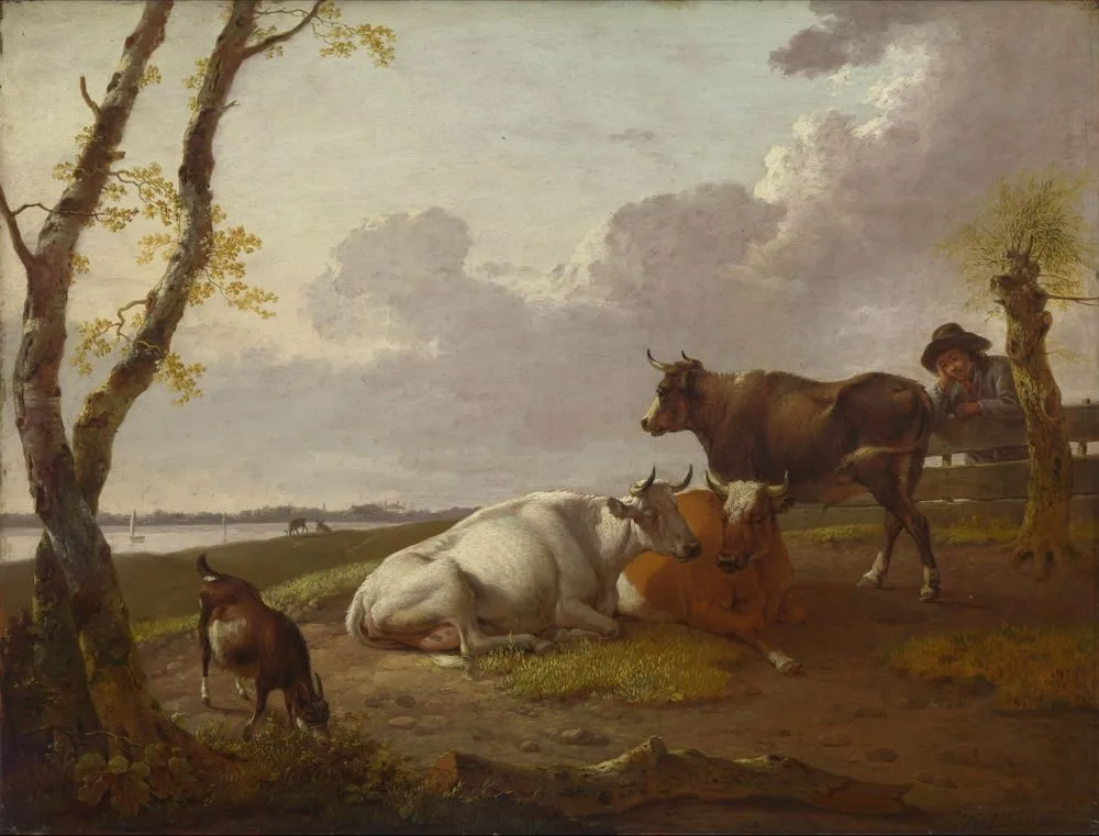 Cattle