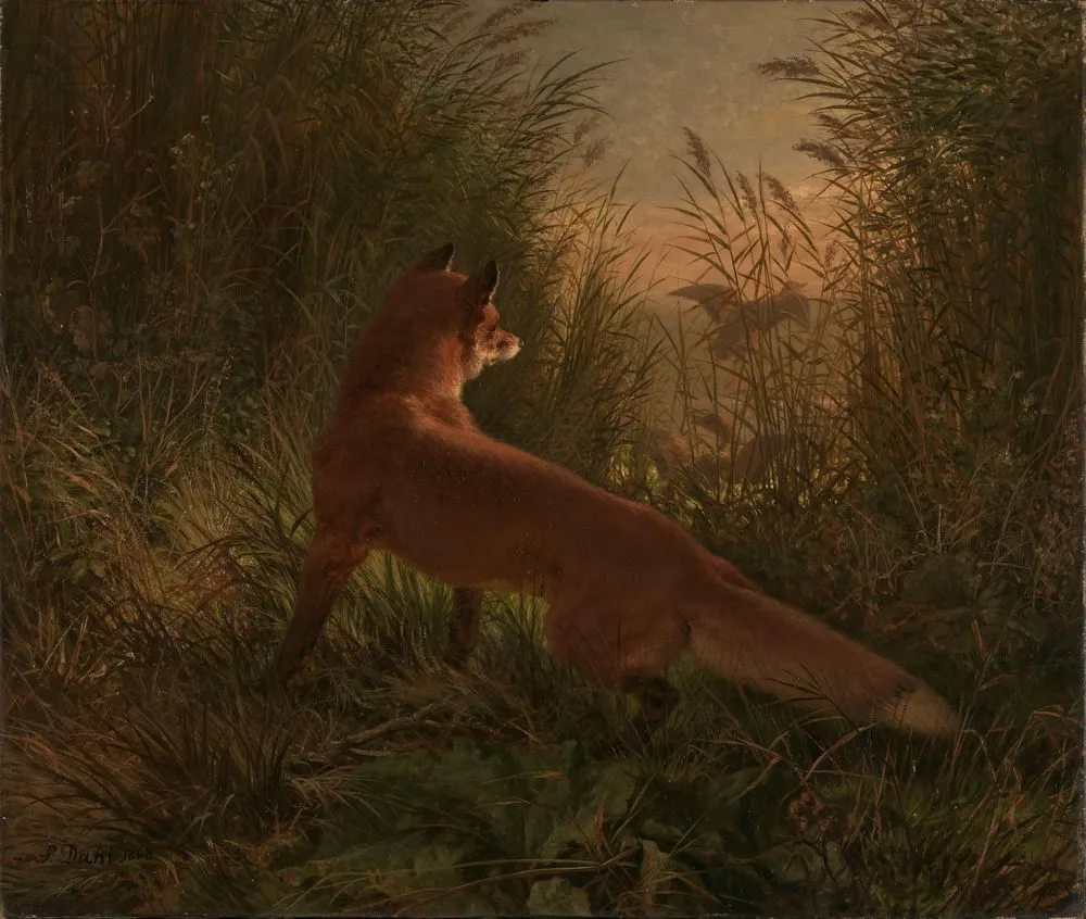 A Fox, Johann Siegwald Dahl