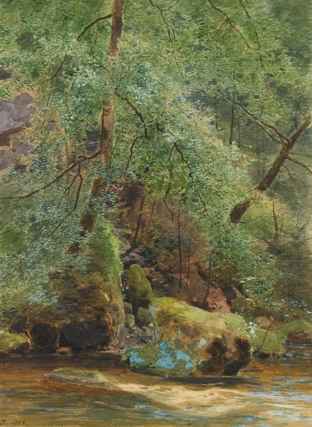 Forest stream