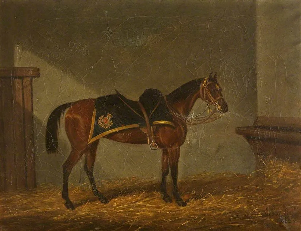 A Bay Charger in his Stable