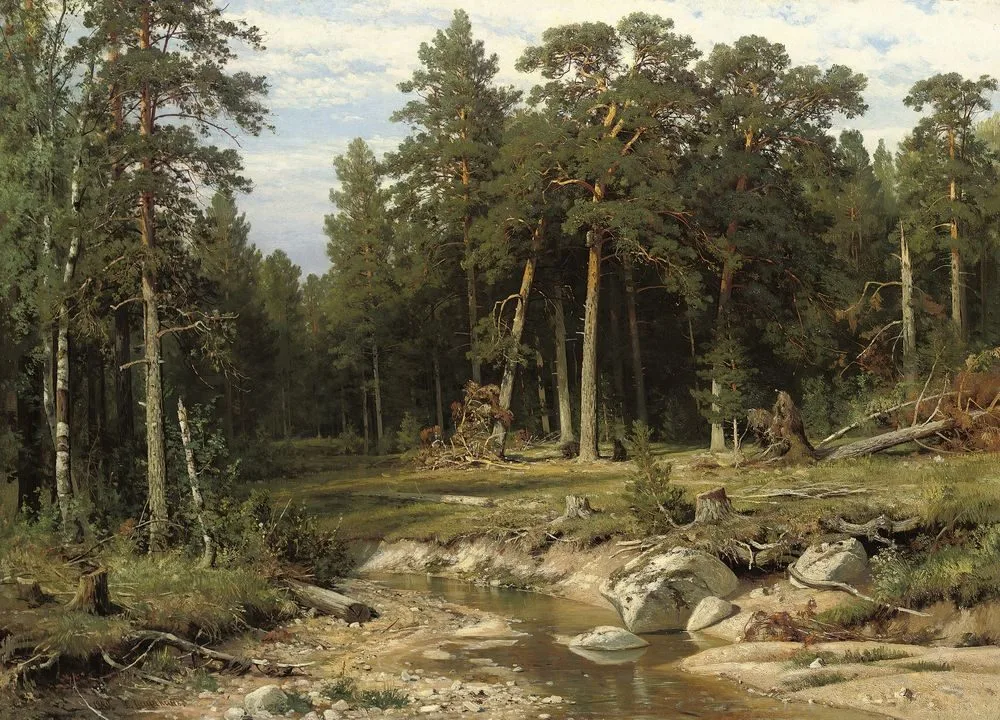 Mast Pine Forest in Viatka Province