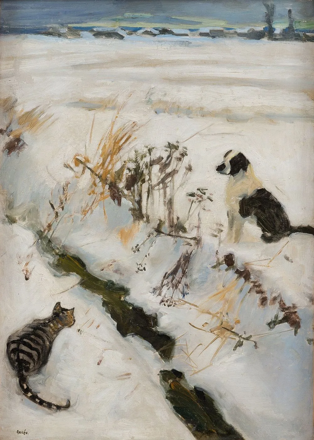 Cat and Dog