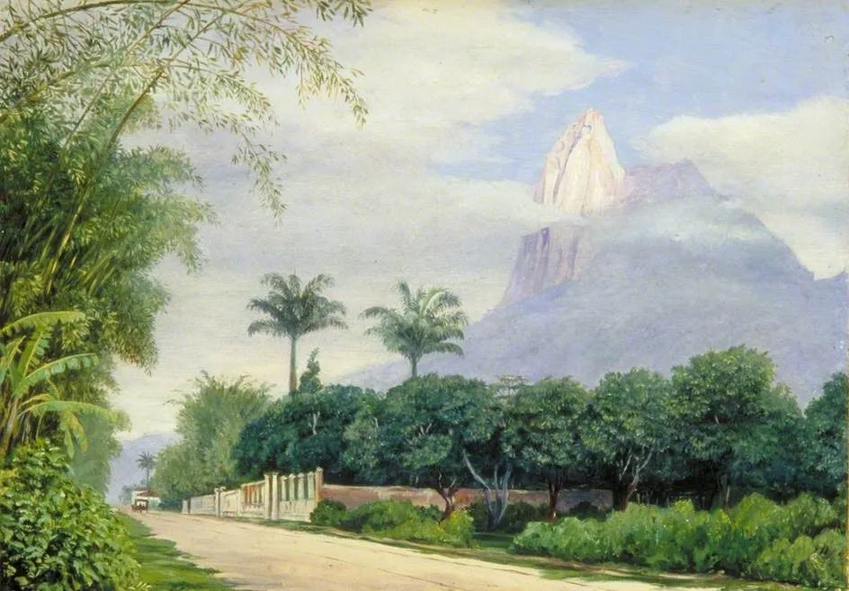 View of the Corcovado Mountain near Rio de Janeiro, Brazil, Marianne North