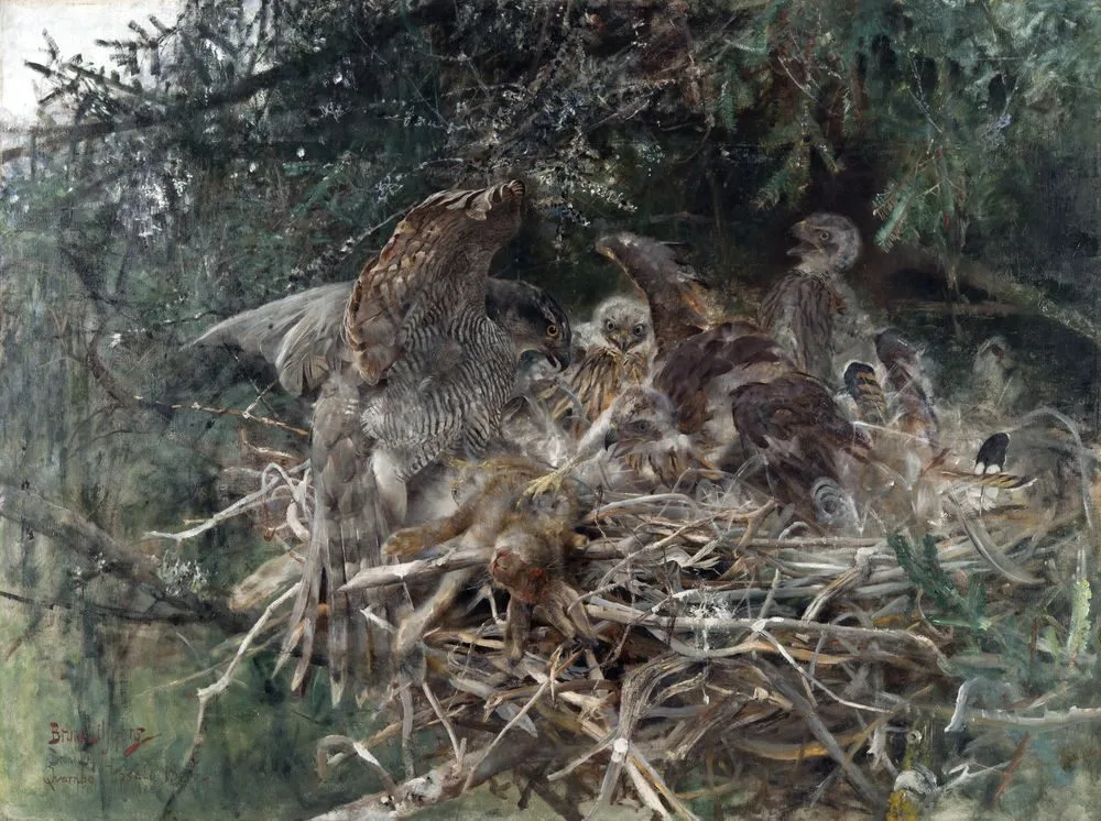 Hawk’s Nest, Bruno Liljefors