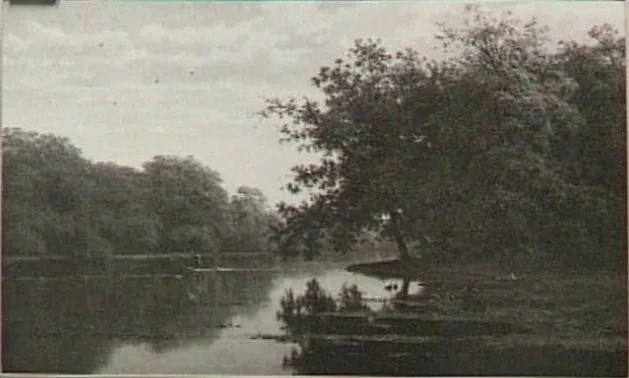 Herfst in het Haagse Bos, Cornelis Johannes de Vogel