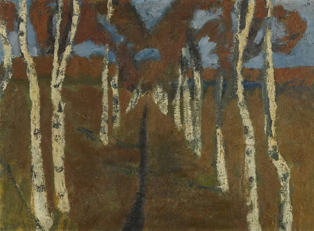 Path with Birch Trees