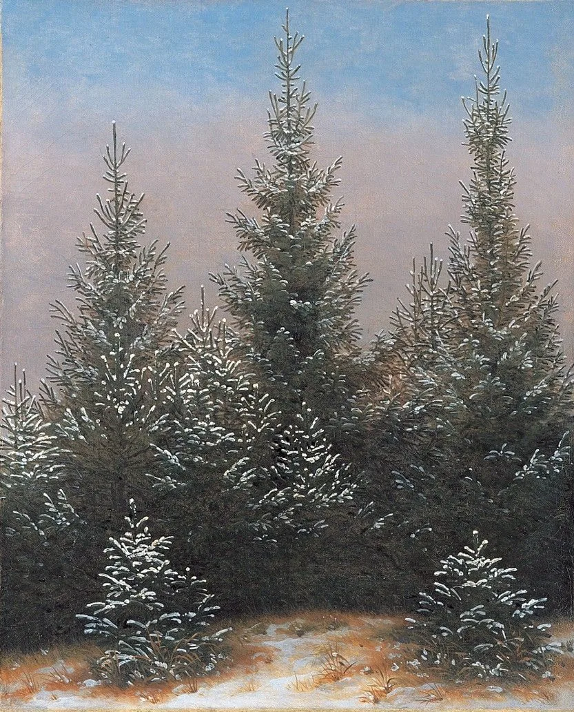 Spruce thicket in the snow, Caspar David Friedrich