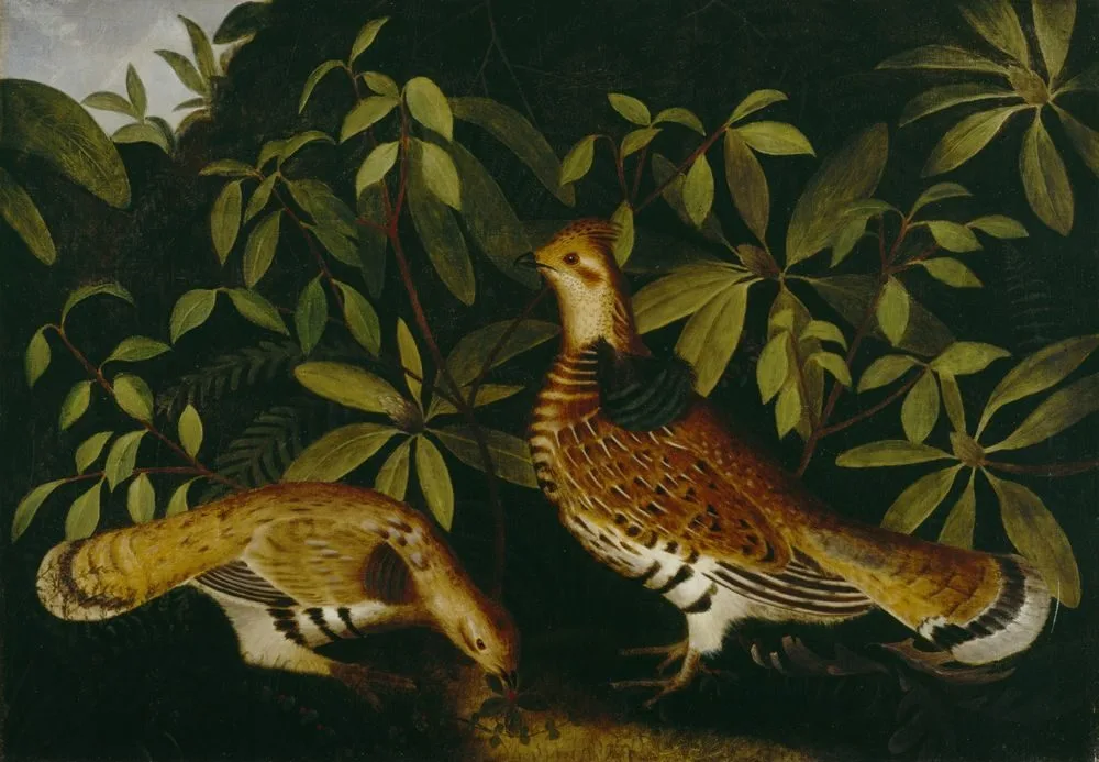 Two Ruffed Grouse in Underbrush, Rubens Peale