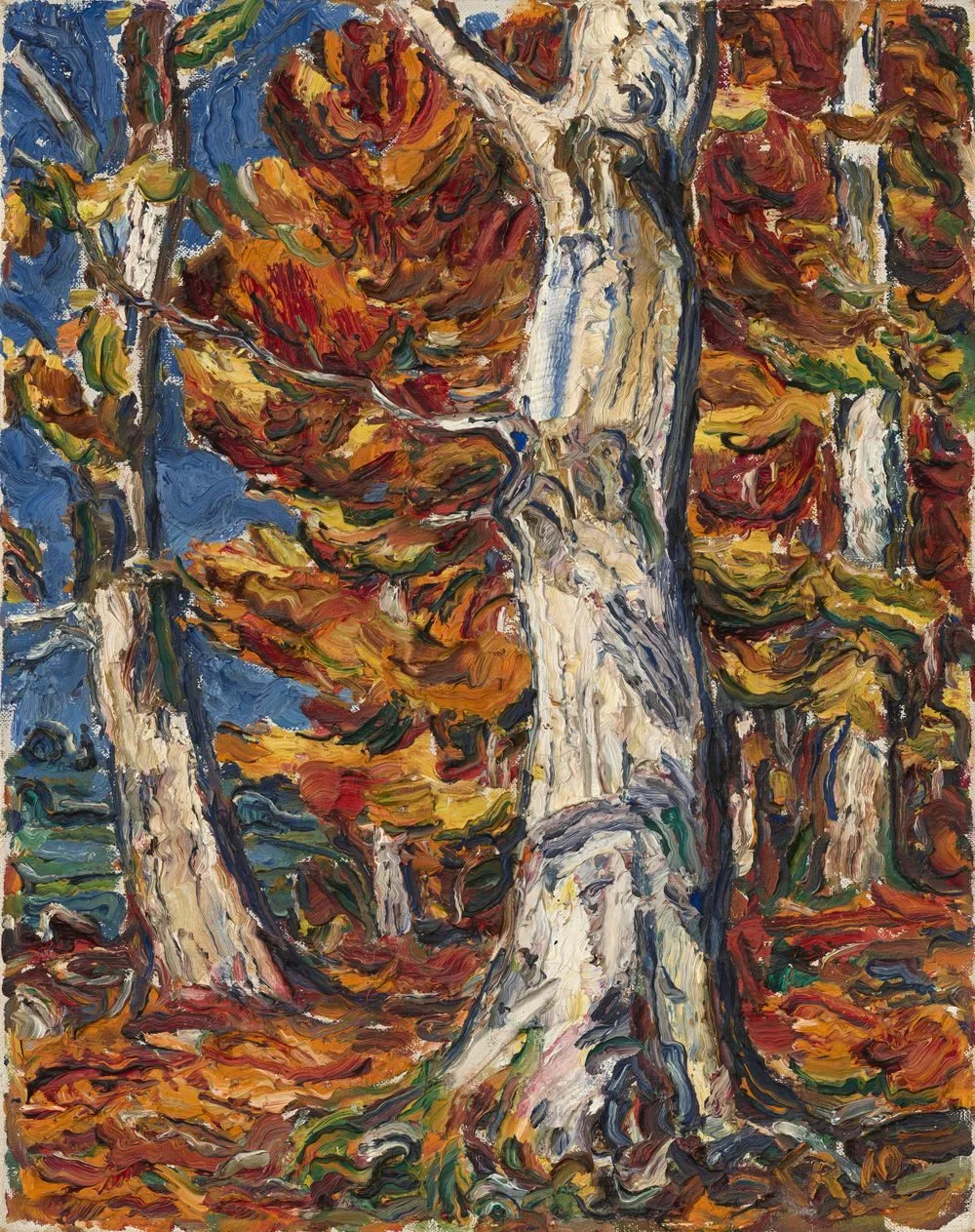 White Beeches in Fall, Christian Rohlfs