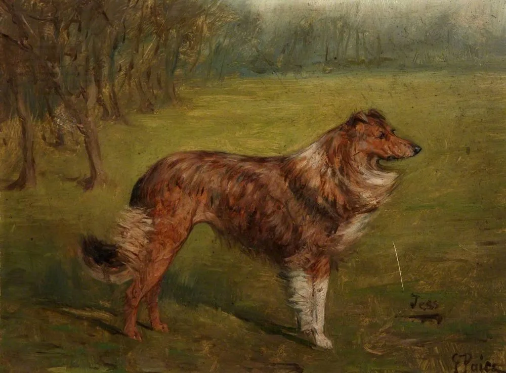 ‘Tess’, Portrait of a Dog, George Paice