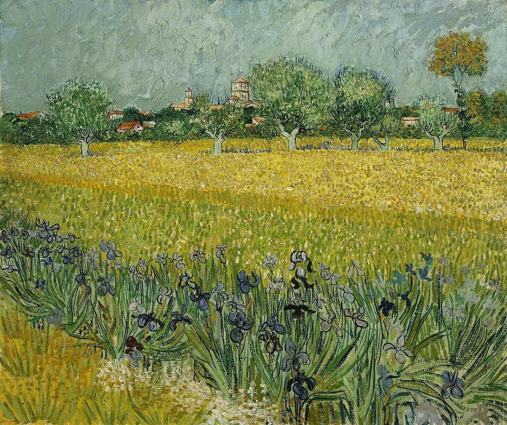 View of Arles with Irises in the Foreground, Vincent van Gogh