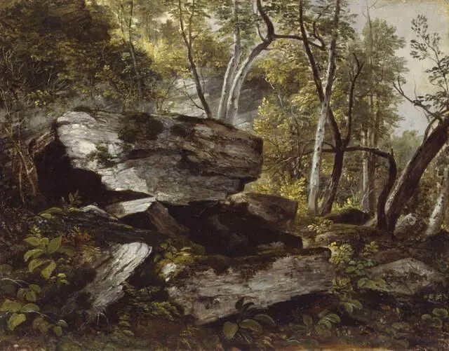 Study from Nature: Rocks and Trees