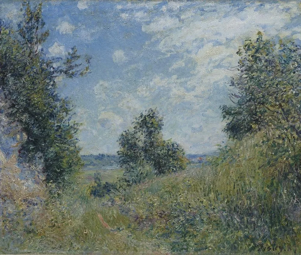Summer Landscape