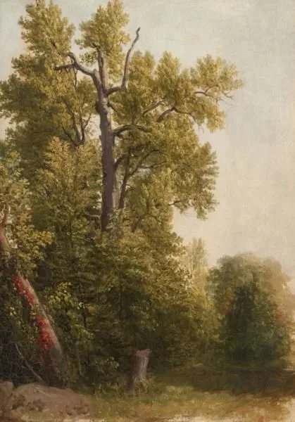 Study from Nature, Hoboken, New Jersey, Asher Brown Durand