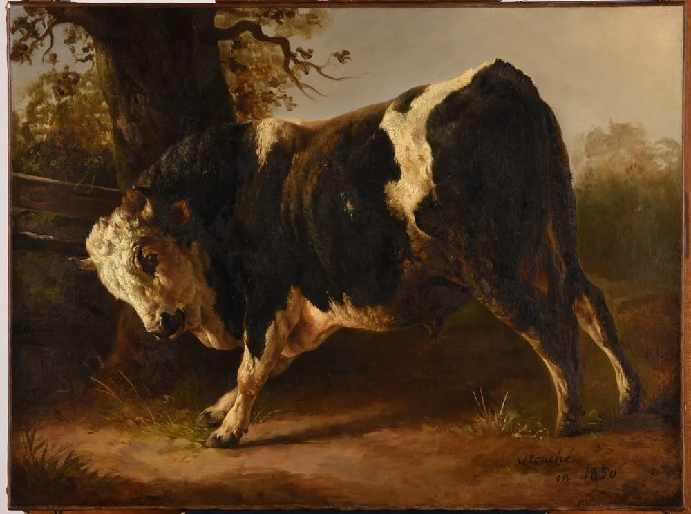 Angry Bull, Jacques Raymond Brascassat