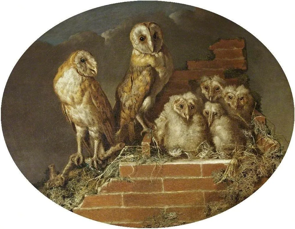 Barn Owls with their Brood, William Tomkins