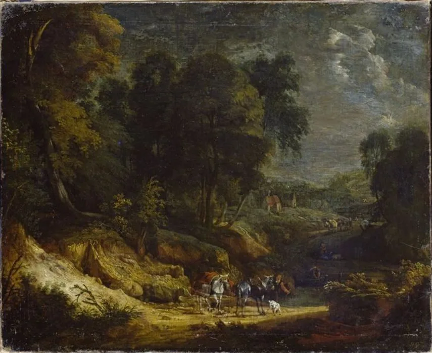 Edge of a forest