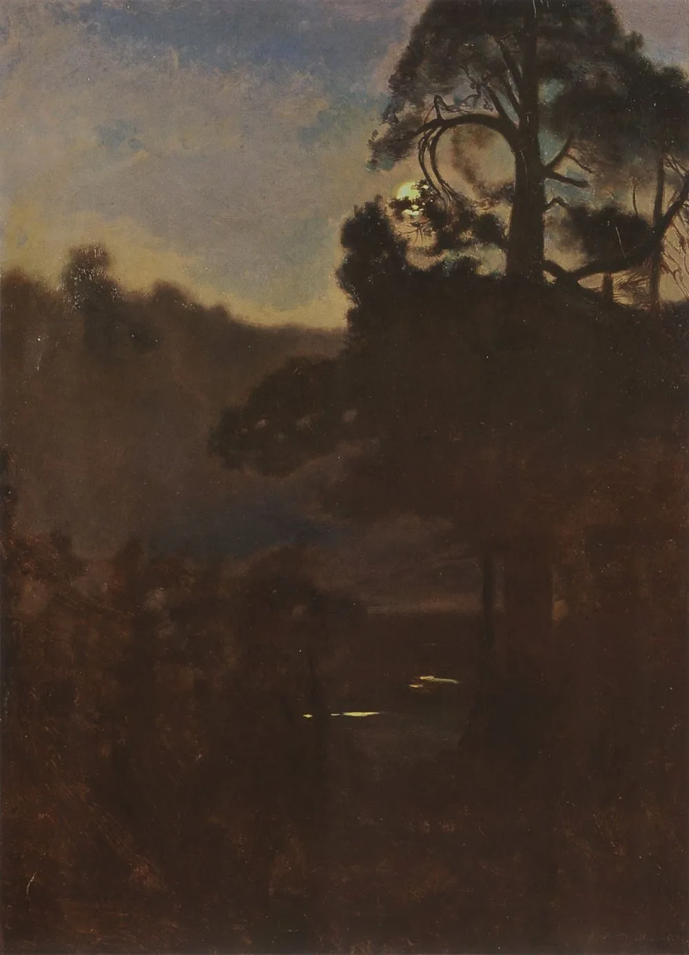 Moonlight night