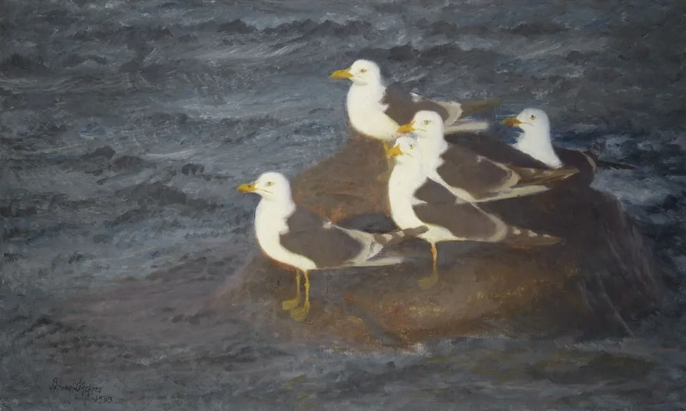 Lesser Black-backed Gulls Resting, Bruno Liljefors
