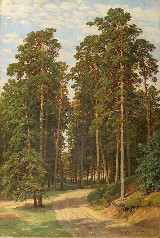 The Sun in the Forest
