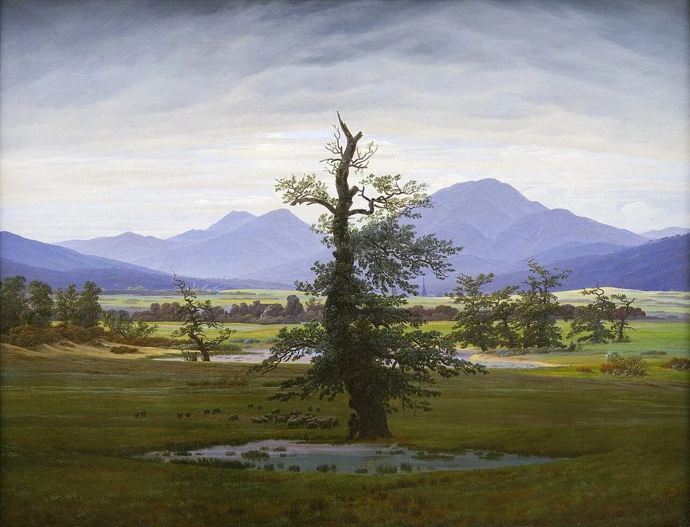 Solitary Tree