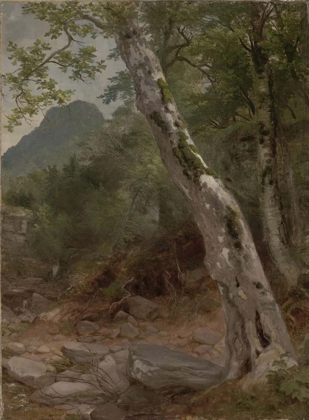 A Sycamore Tree, Plaaterkill Clove, Asher Brown Durand