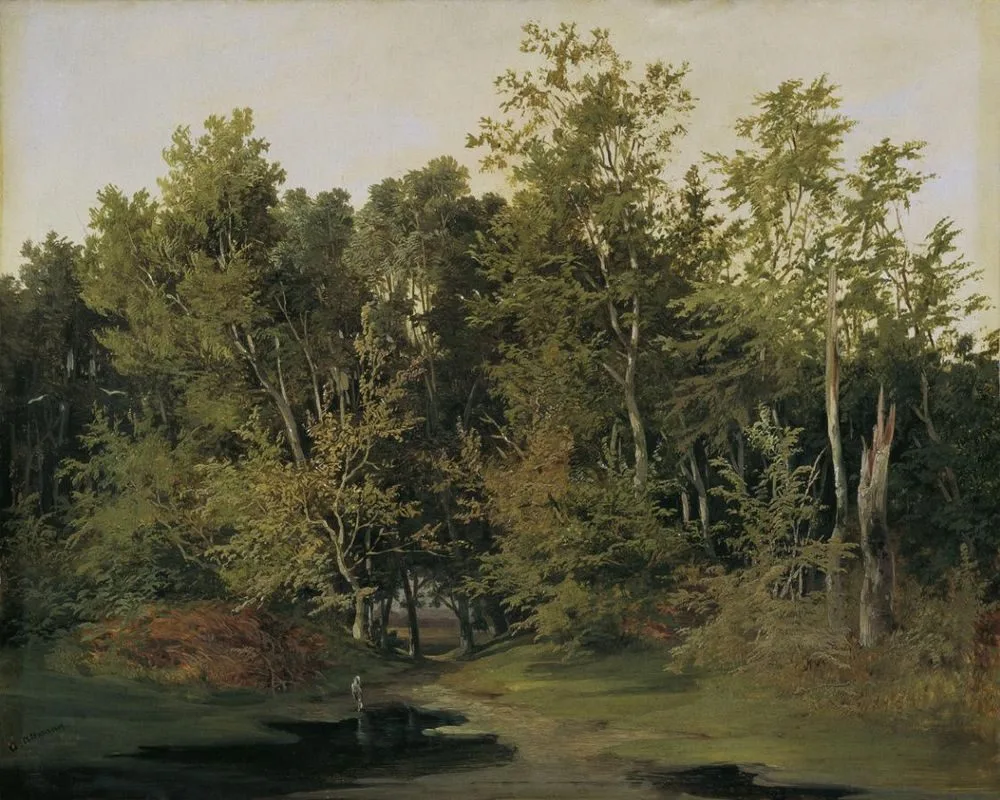 Forest landscape in Lower Austria
