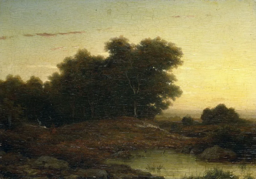 View in the Woods at Sunset, Louwrens Hanedoes