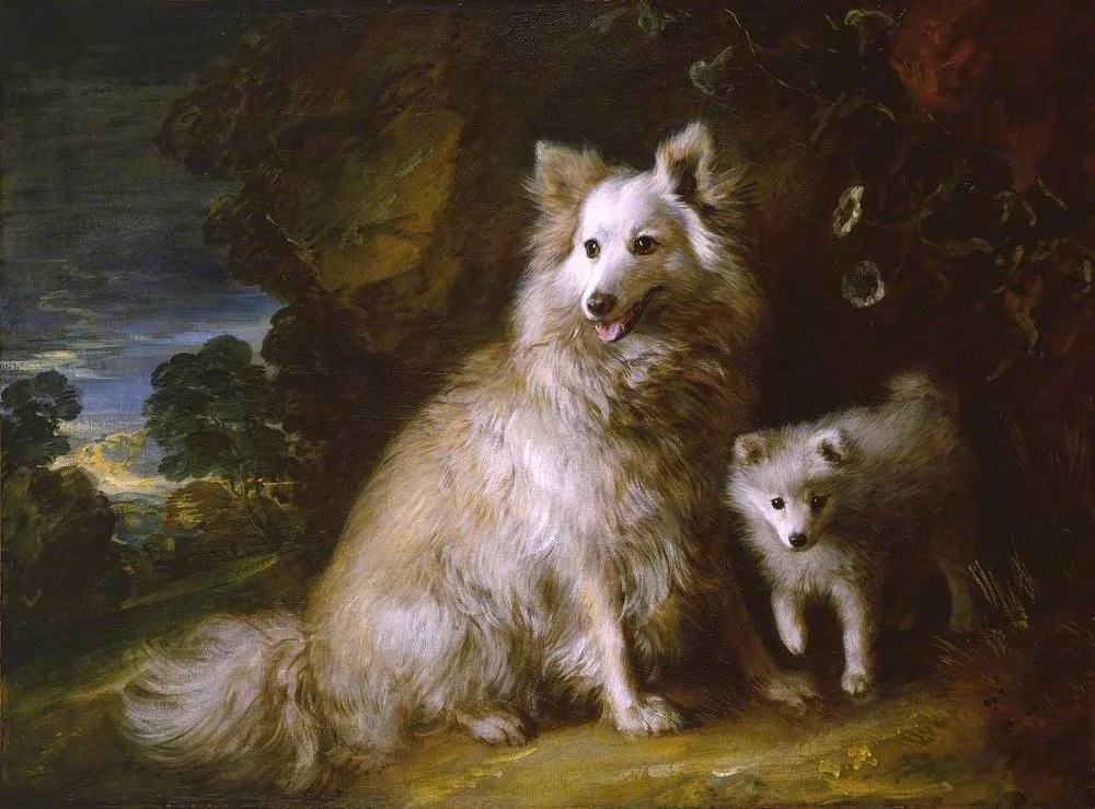 Pomeranian Bitch and Puppy, Thomas Gainsborough