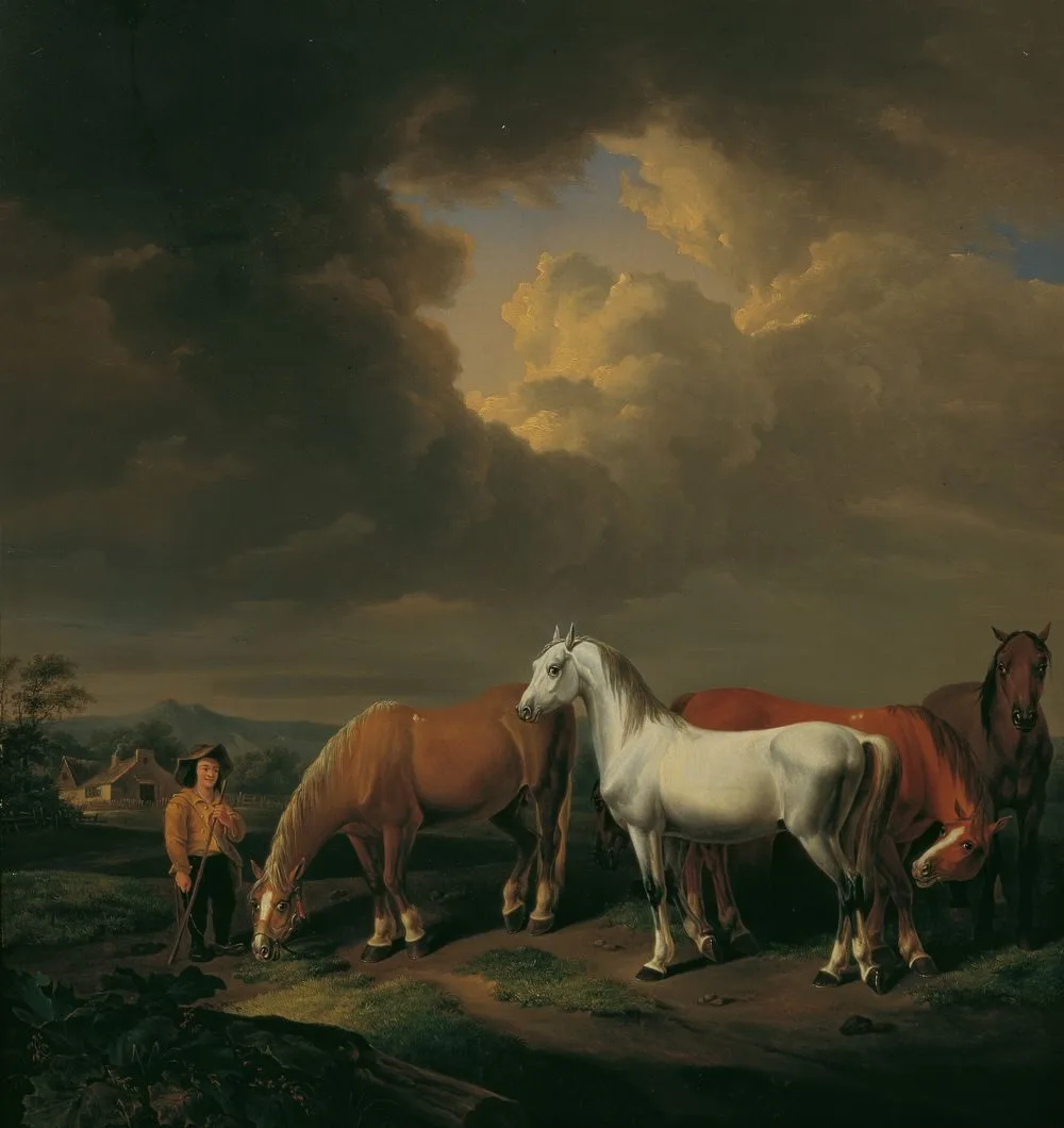 Five farm horses