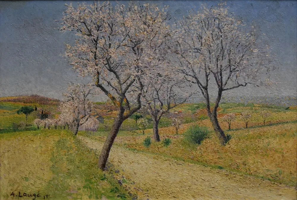 Route de Cailhavel, amandiers en fleurs