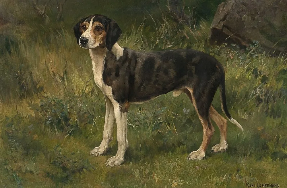 Hound, Karl Uchermann