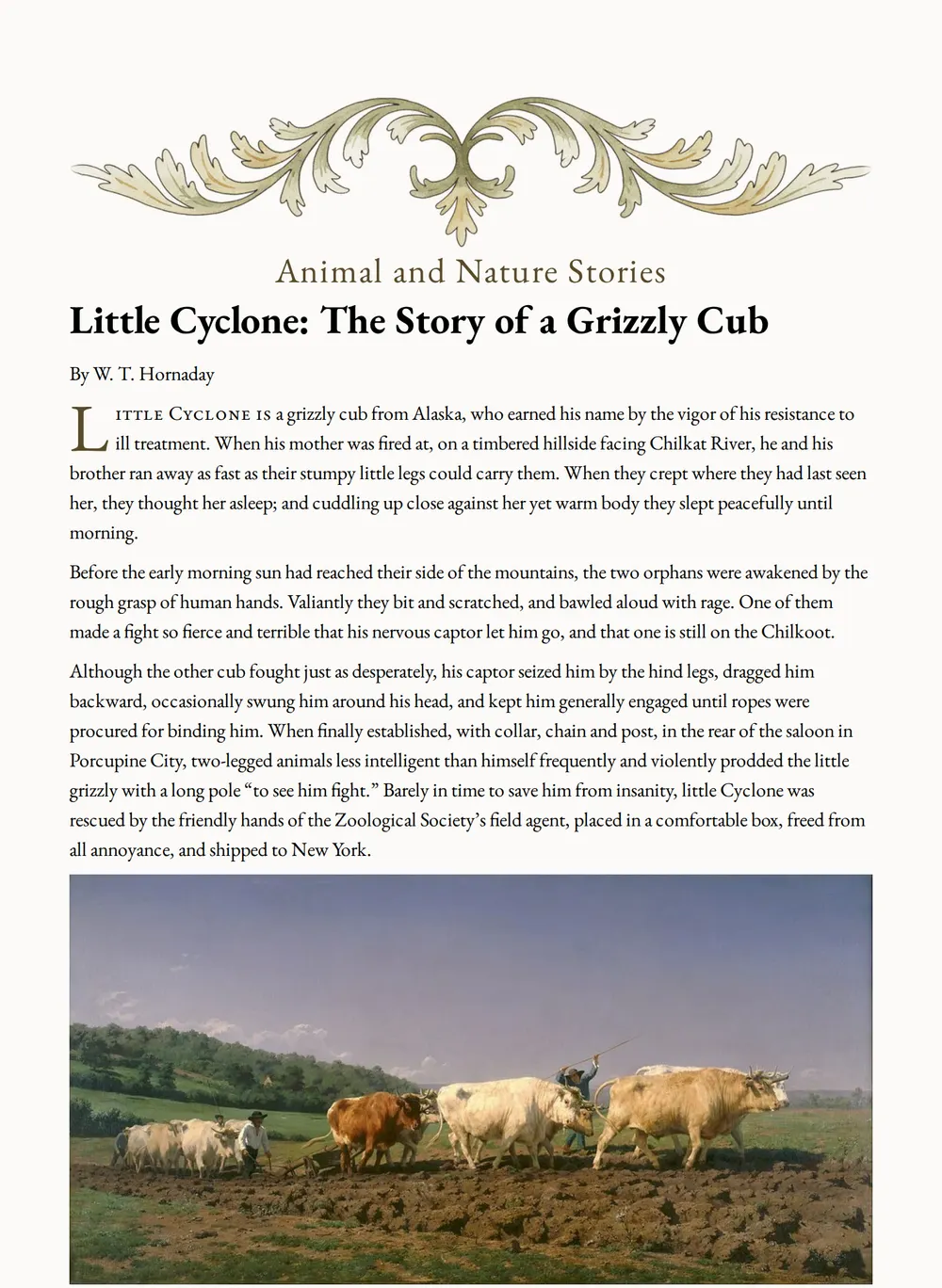 A page of Animals, Home and Today as set for this edition