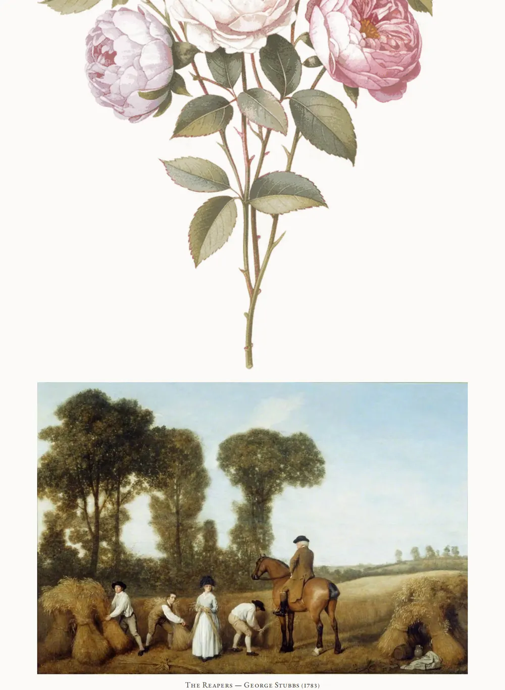 A page of Lady Susan as set for this edition